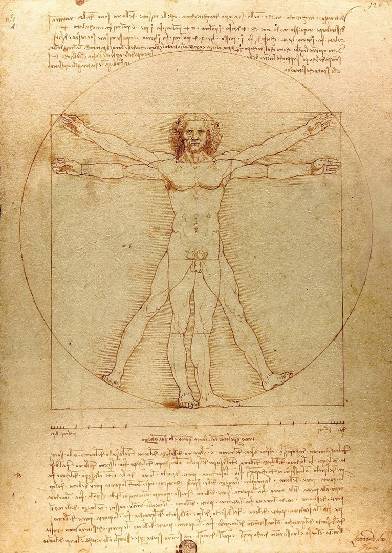 puzzles de 1000 pièces L'Homme de Vitruve, Léonard de Vinci
